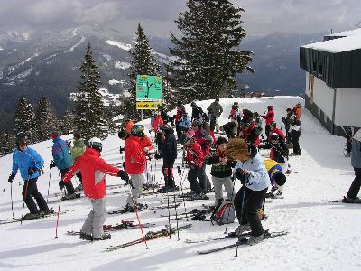 Vamos ole ole, fahren wir Ski...
